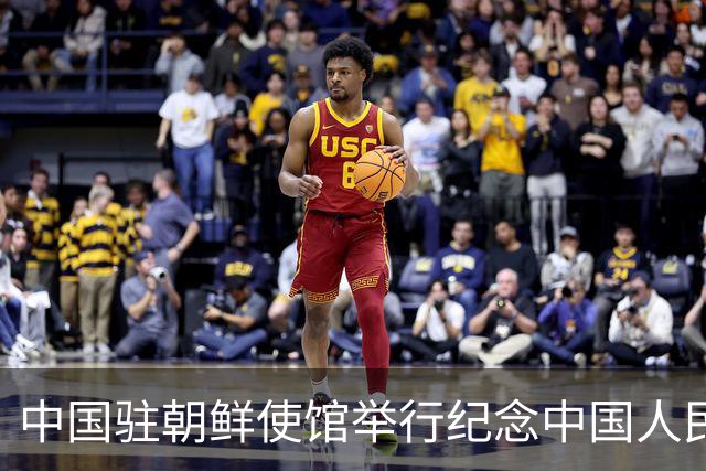 中国驻朝鲜使馆举行纪念中国人民志愿军抗美援朝出国作战76周年活动