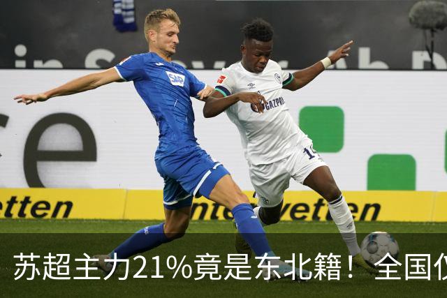 苏超主力21%竟是东北籍！全国仅11.6%，这局到底是谁选了谁？