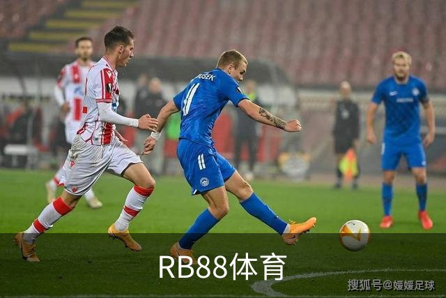 RB88体育公司简介